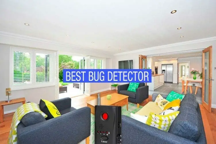 Best Bug Detector This Year (Top 5) Guide