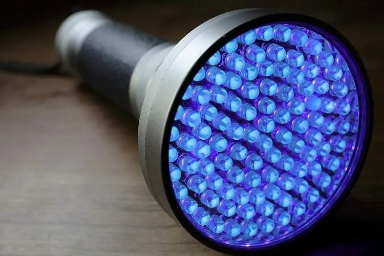 800px Black light UV LED Flashlight